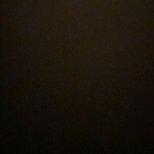 Meet your Posher, Damon